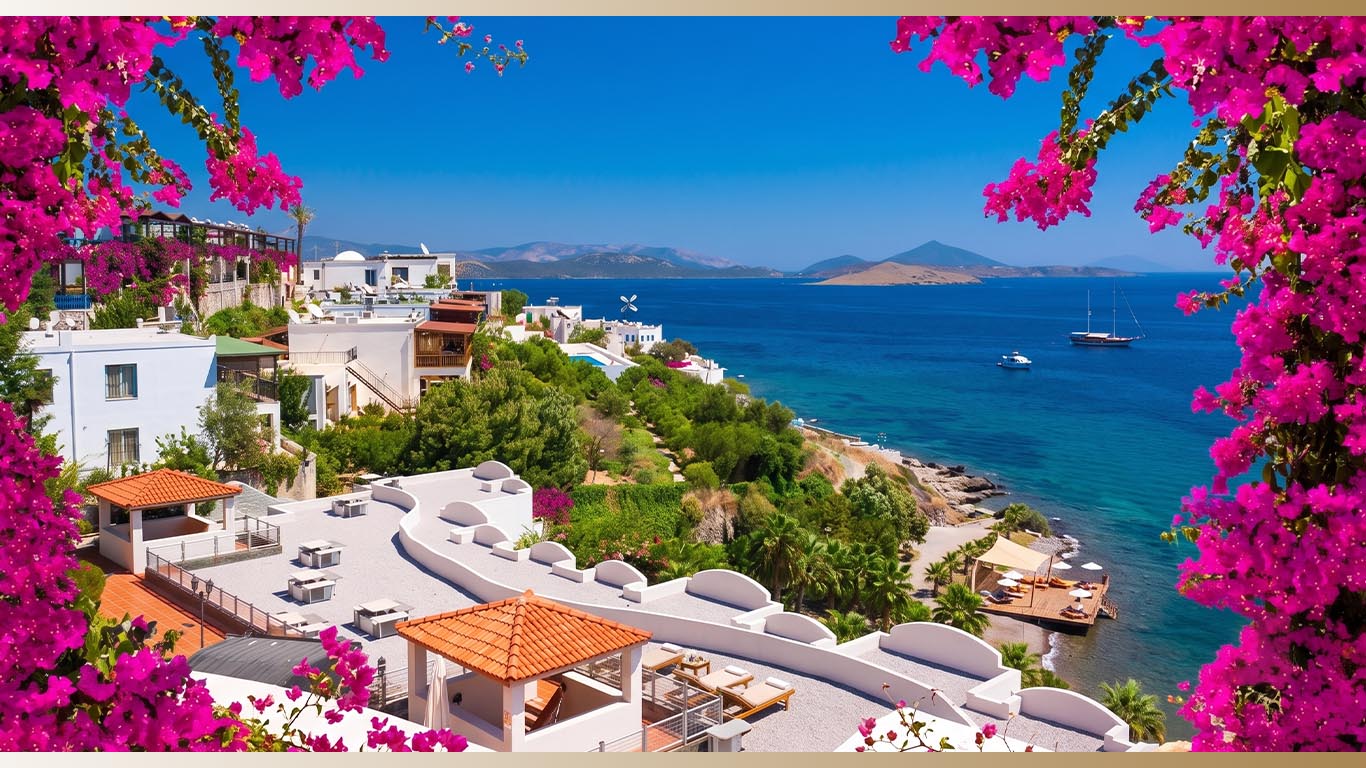 Bodrum Web Tasarım - Premium Hizmet